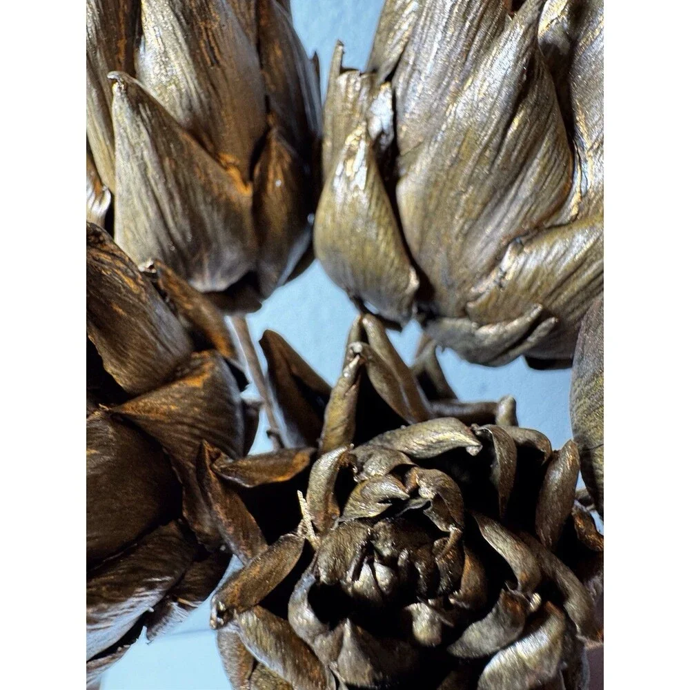 Floral Stems Dried Artichoke-Set Of 6